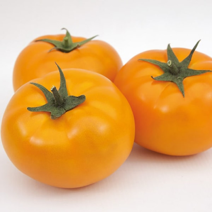 Фото Насіння томатів (помідор) Ямамото F1 (Yamamoto F1), №3