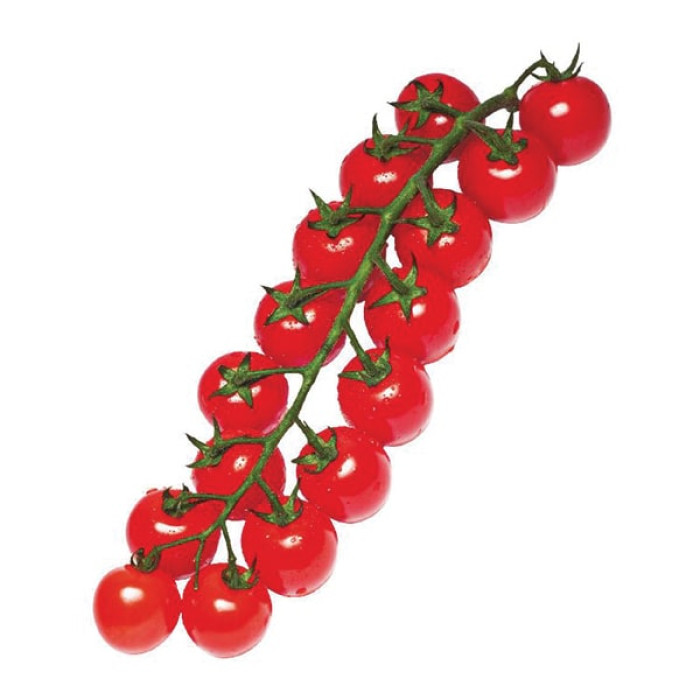 Фото Насіння томатів (помідор) Янічері F1