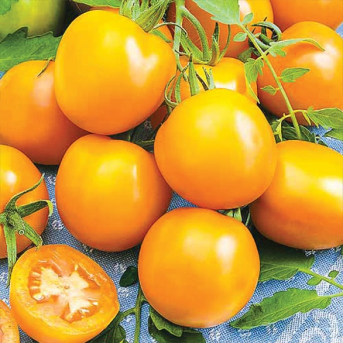 Фото Насіння томатів (помідор) Єлоу Рівер F1 (Yellow River F1)