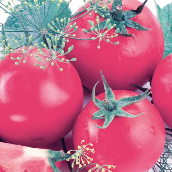 Фото Семена томатов (помидор) Загадка розовая