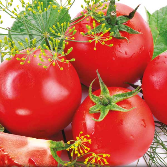 Фото Насіння томатів (помідор) Загадка