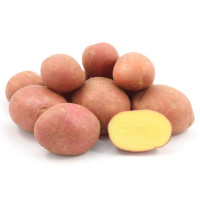 Эсми (1 репродукция)