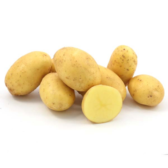 Фото Насіннєва картопля Гранада (1 репродукція)