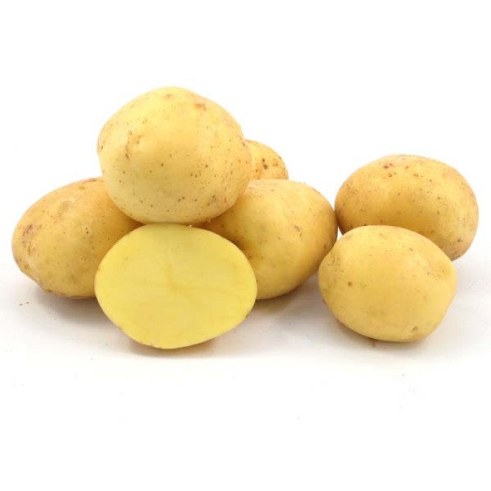 Фото Насіннєва картопля Коннект (1 репродукція)