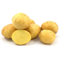 Констанс (1 репродукция)