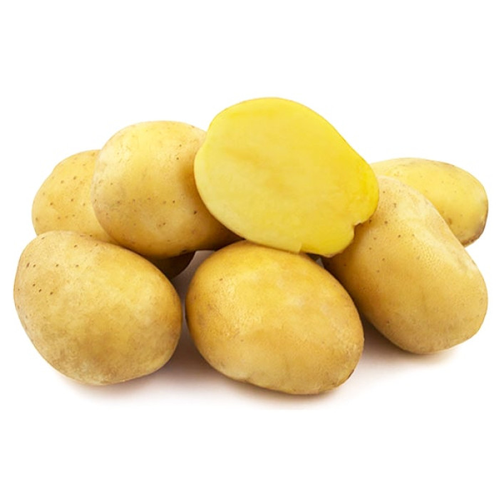 Картофель ариэль фото. Солана картофель. Картофель немецкий желтый. Картошка семена Германия.