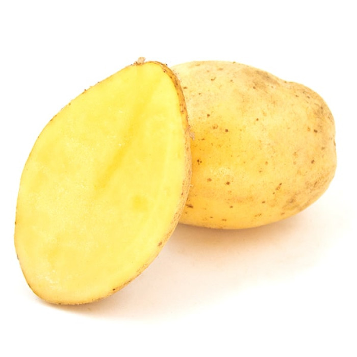 Фото Насіннєва картопля Парадізо (1 репродукція), №2