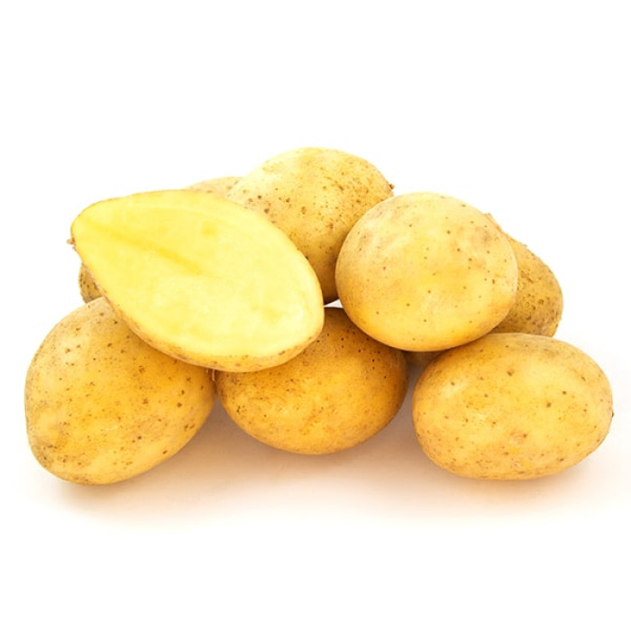 Фото Насіннєва картопля Парадізо (1 репродукція)