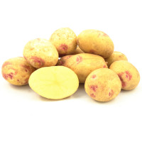 Пикассо (Синеглазка) (1 репродукция)