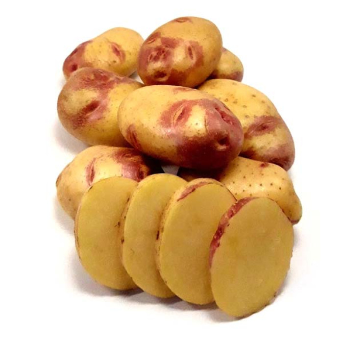 Фото Насіннєва картопля Пікассо (Синьоглазка) (1 репродукція), №8