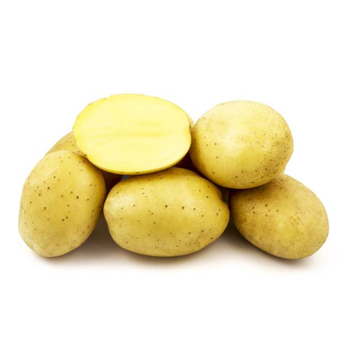 Фото Насіннєва картопля Прада (1 репродукція)