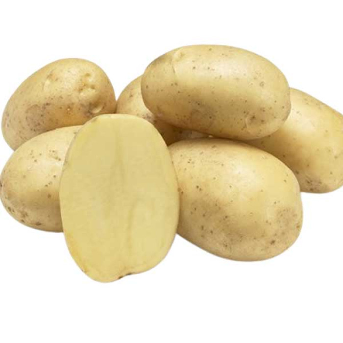 Фото Насіннєва картопля Спектра (1 репродукція)