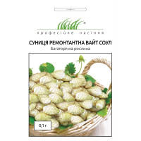 Вайт Соул