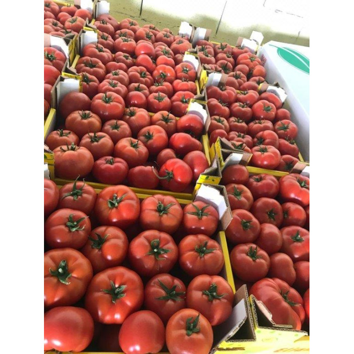 Фото Насіння томатів (помідор) Адріатіка F1 (Adriatika F1), №1