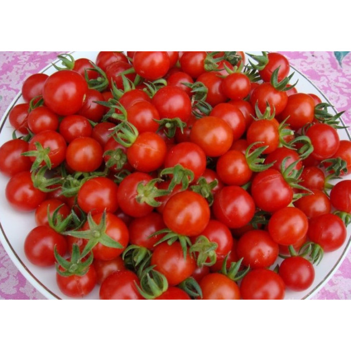 Фото Насіння томатів (помідор) Чері Блоссом F1 (CHERRI BLOSSOM F1), №1