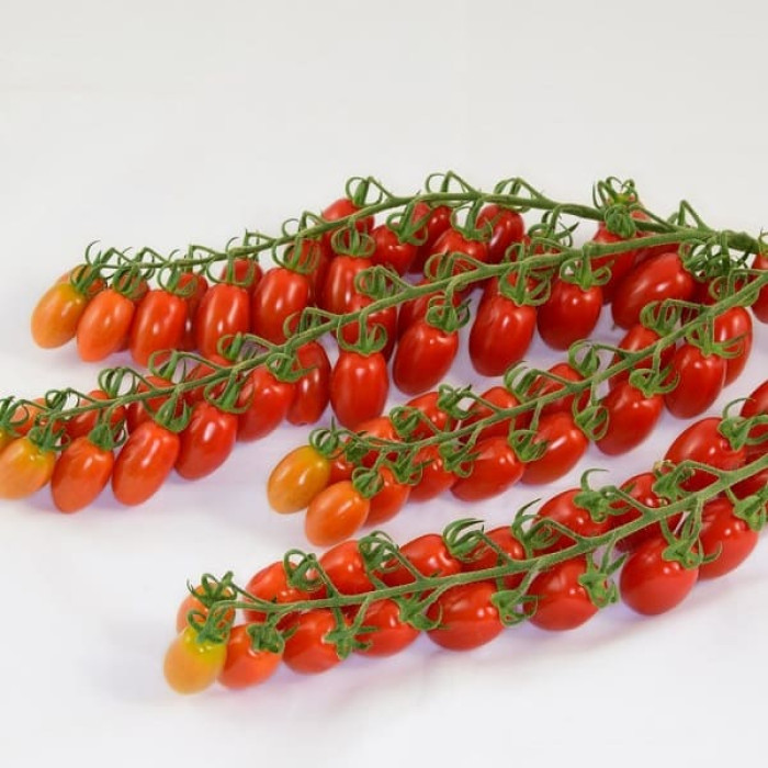 Фото Насіння томатів (помідор) ES 51076 F1