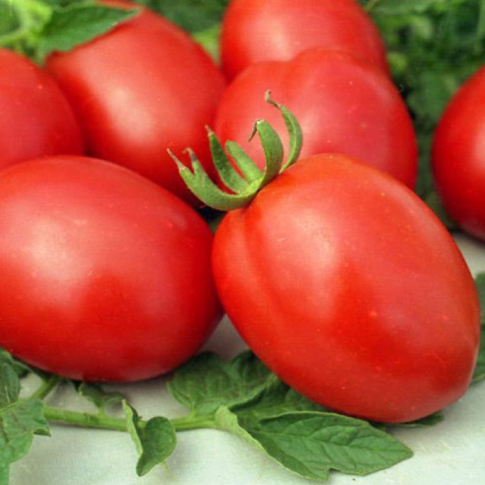 Фото Насіння томатів (помідор) Кармен F1 (Carmen F1), №1
