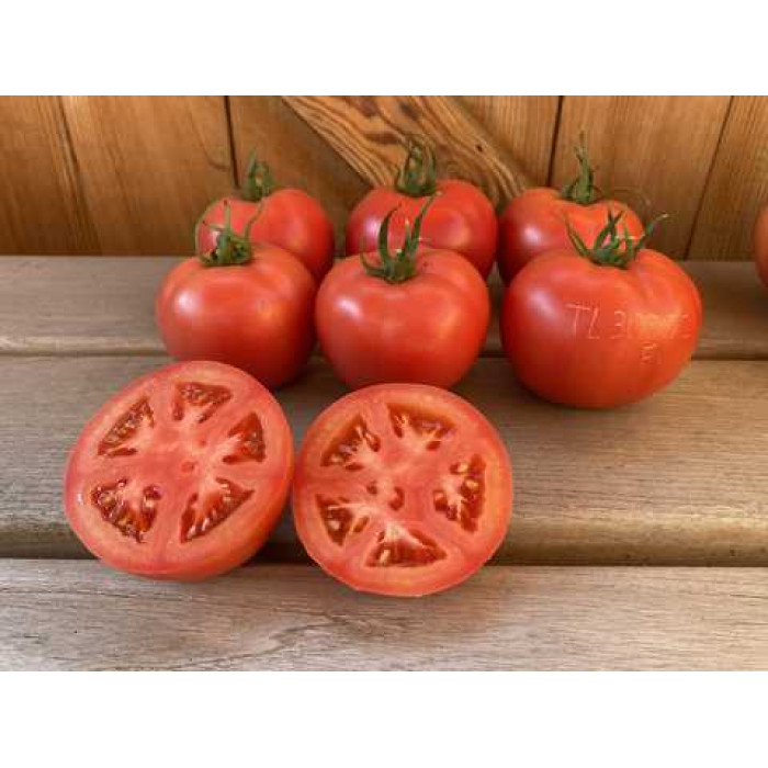 Фото Насіння томатів (помідор) TL 30002 F1