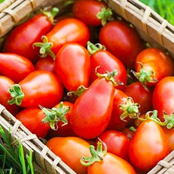 Фото Семена томатов (помидор) Транс Рио