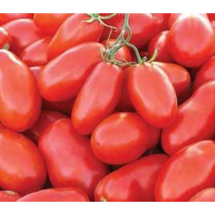 Фото Насіння томатів (помідор) UG 29814 F1, №1