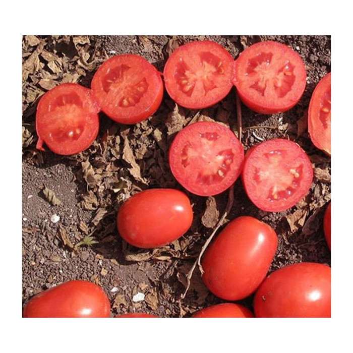 Фото Насіння томатів (помідор) UG 124 F1, №1