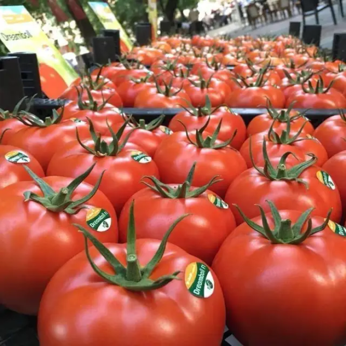 Фото Семена томатов (помидор) Дримболл F1/DreamBall F1, №3