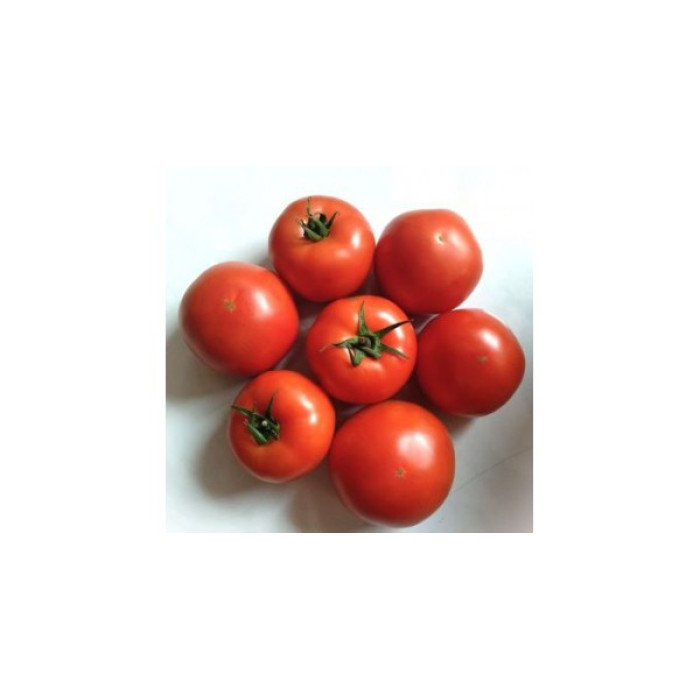 Фото Насіння томатів (помідор) Геліказ F1/Helicaz F1