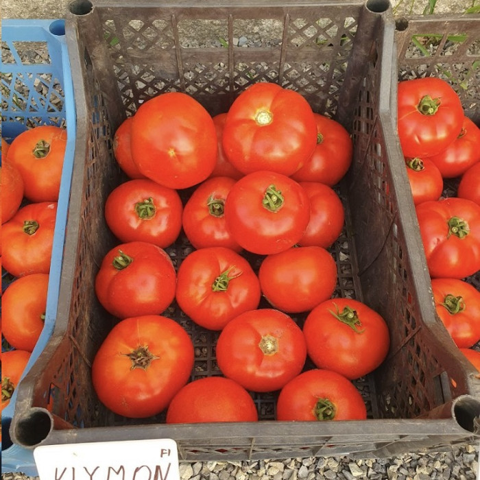 Фото Насіння томатів (помідор) Климон F1 (Klimon F1)