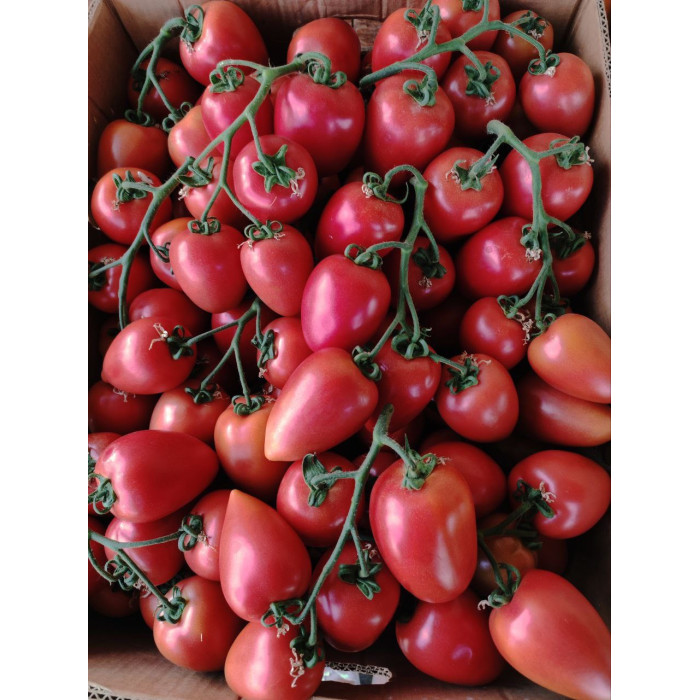 Фото Семена томатов (помидор) Конго F1/Kongo F1, №5