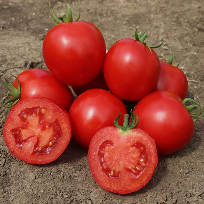 Фото Семена томатов (помидор) KS 390 F1