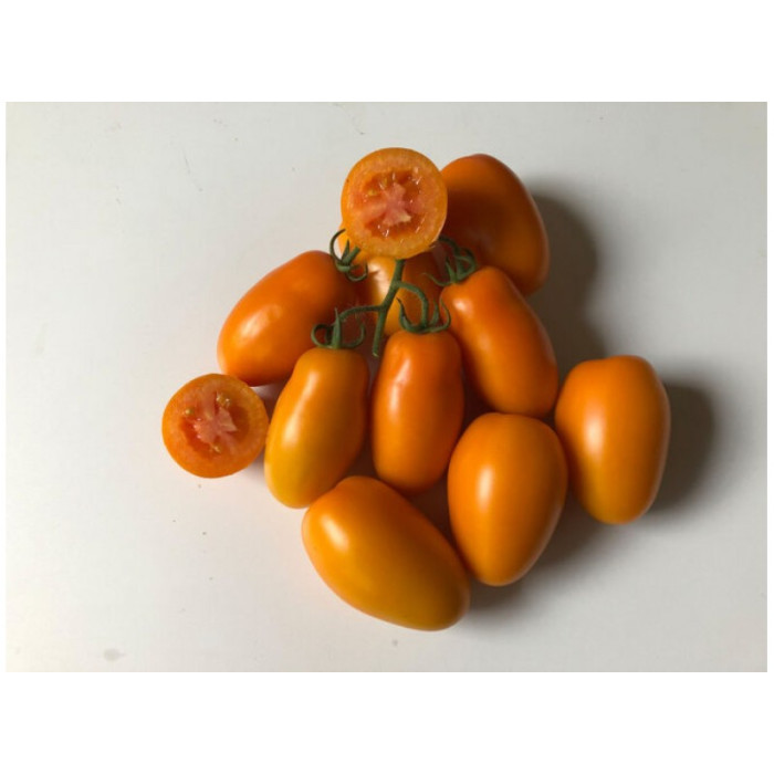 Фото Насіння томатів (помідор) Оранж Плам F1 (Orange Plum F1)
