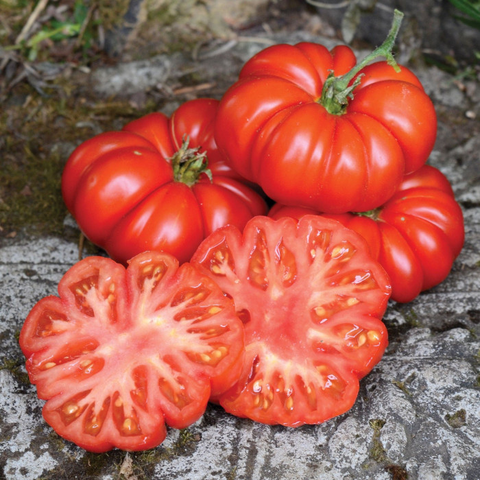 Фото Насіння томатів (помідор) Роціоло F1 (Rotsiolo F1), №1