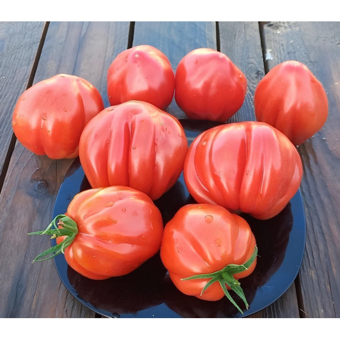Фото Семена томатов (помидор) Таркюто F1/Tarquito F1, №1