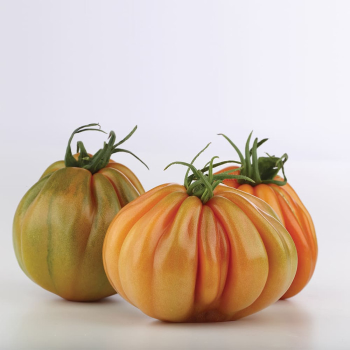 Фото Семена томатов (помидор) Таркюто F1/Tarquito F1