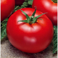 Волгоградский 5/95