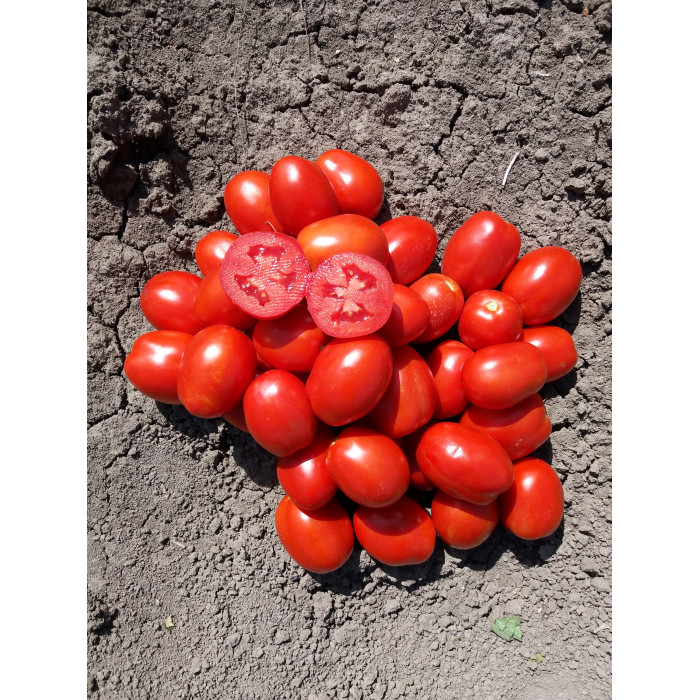 Фото Насіння томатів (помідор) Н 0507 F1