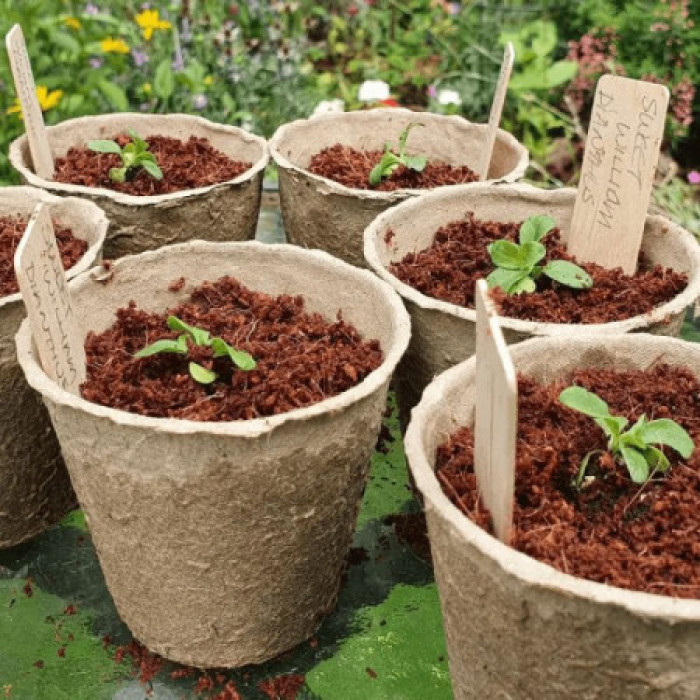 Фото Торфяной горшок 100*110 мм, №2