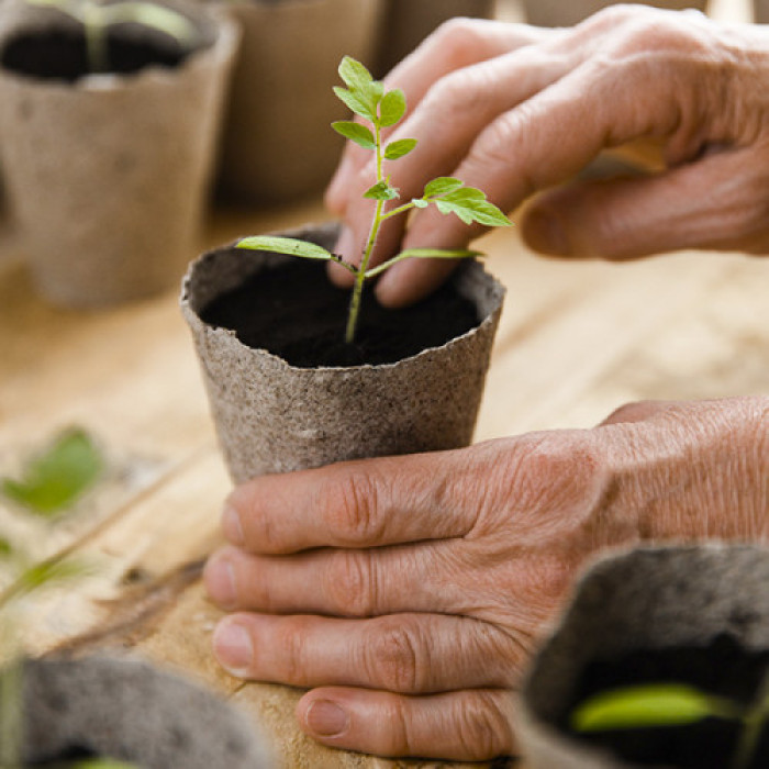 Фото Торфяной горшок 100*110 мм, №3