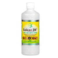Байкал ЭМ