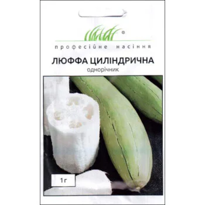 Фото Семена Люффа цилиндрическая, №2