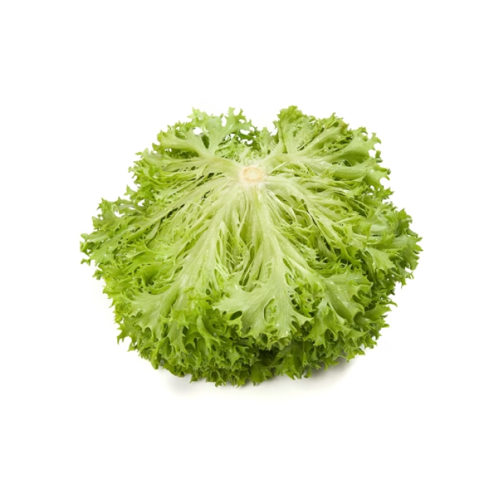 Фото Семена эндивия типа фризе Экзект/Exact, №1