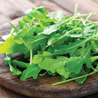 Руккола Сицилия