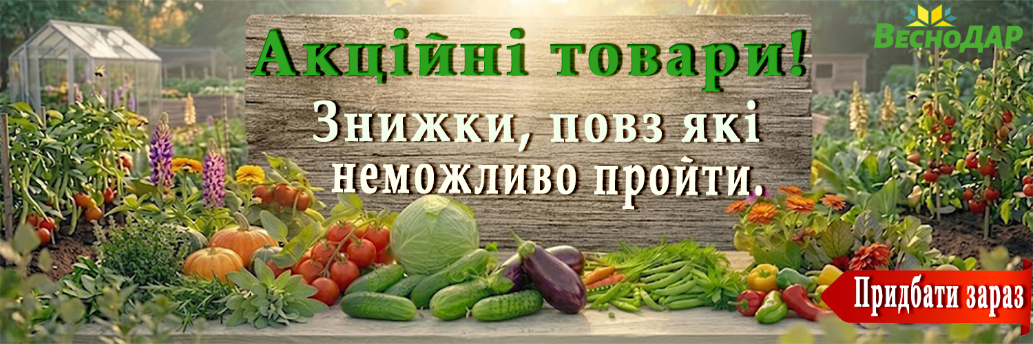 Акции и скидки