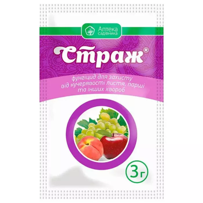 Страж