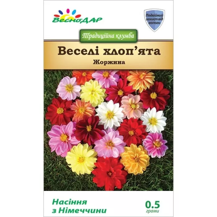 Фото Георгина Веселые Ребята, №1