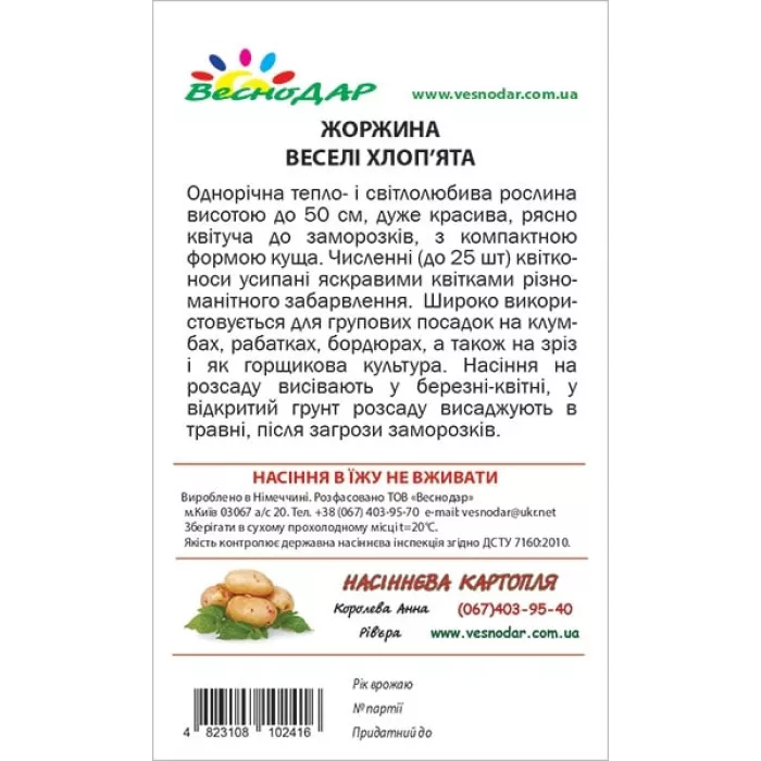 Фото Георгина Веселые Ребята, №2