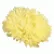 Астра Гала Еллоу (Gala Yellow)