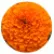 Бархатцы Антигуа F1 Оранж (Antigua F1 Orange)