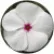 Катарантус СанСторм Вайт виз Ай (SunStorm White with Eye)