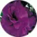 Еустома ЕйБіСі F1 Пьорпл (ABC F1 Purple)